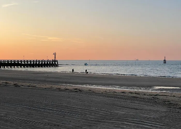 Appartement Cosy Refait A Neuf A 300M De La Mer